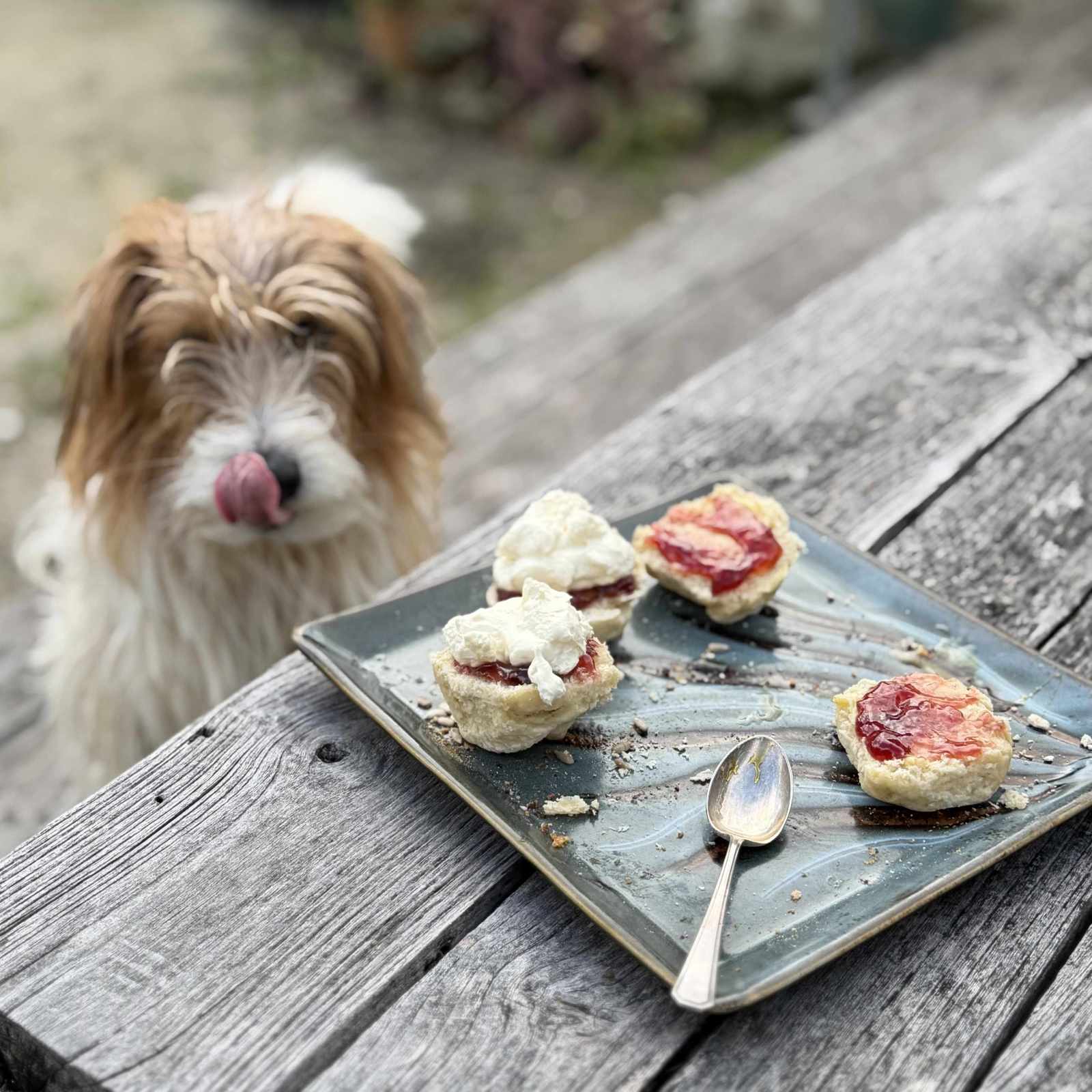 Scones Laughter Maybe Some Pots